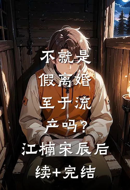 不就是假离婚，至于流产吗？江楠宋辰后续+完结