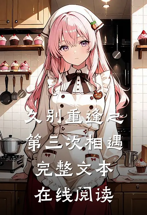 久别重逢之第三次相遇完整文本在线阅读