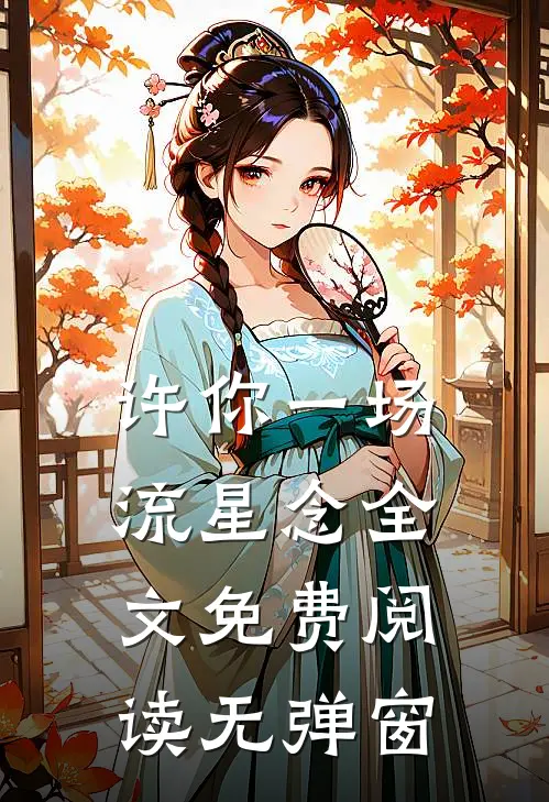 许你一场流星念全文免费阅读无弹窗