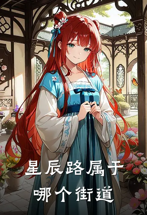 星辰路属于哪个街道