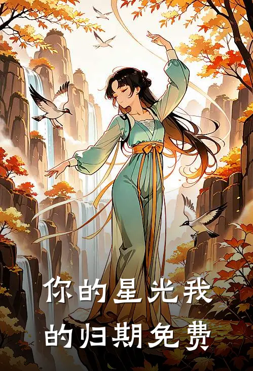 你的星光我的归期免费