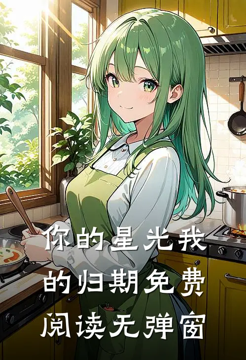 你的星光我的归期免费阅读无弹窗
