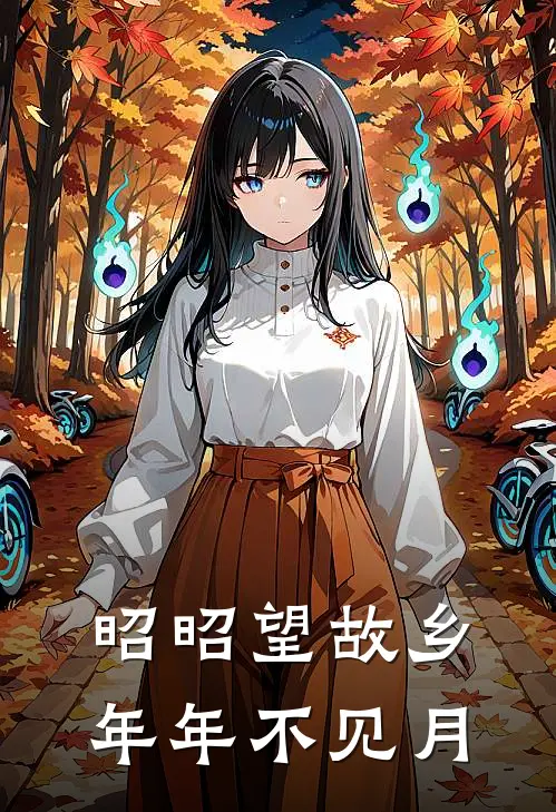 昭昭望故乡，年年不见月
