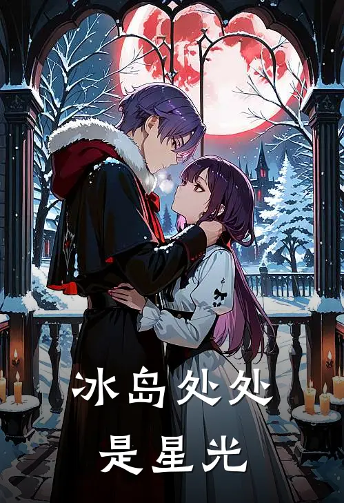 冰岛处处是星光pdf