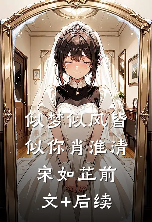 似梦似风皆似你肖淮清宋如芷前文+后续