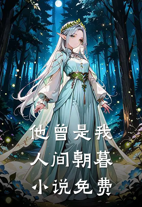 他曾是我人间朝暮小说免费