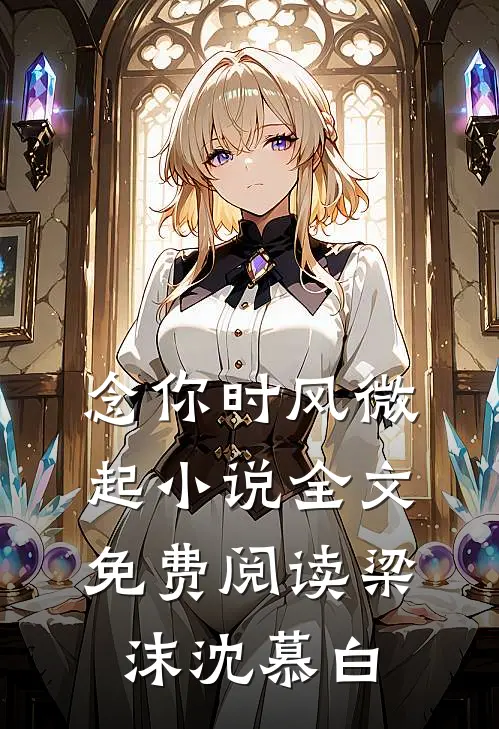 念你时风微起小说全文免费阅读梁沫沈慕白