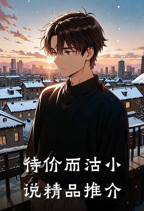 待价而沽小说精品推介