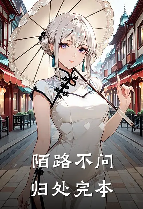 陌路不问归处完本