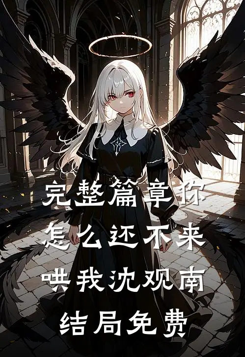 完整篇章你怎么还不来哄我沈观南结局免费