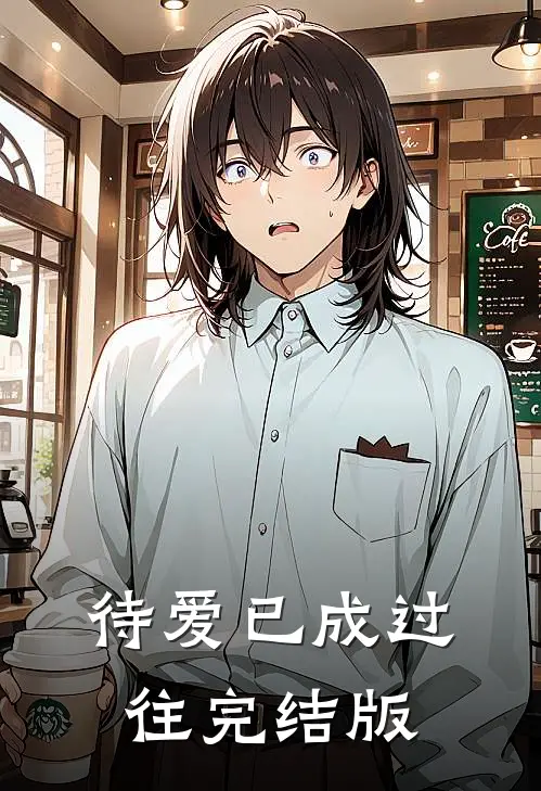 待爱已成过往完结版