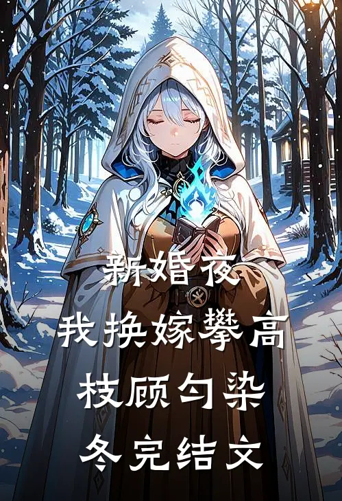 新婚夜，我换嫁攀高枝顾匀染冬完结文
