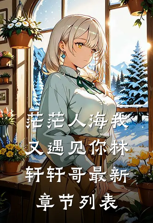 茫茫人海我又遇见你林轩轩哥最新章节列表