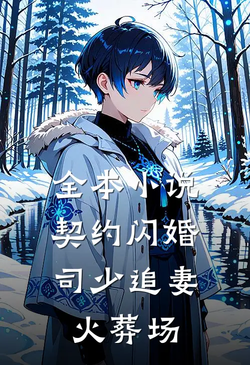 全本小说契约闪婚：司少追妻火葬场