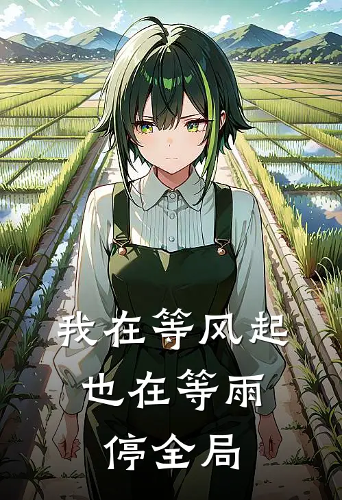 我在等风起，也在等雨停全局