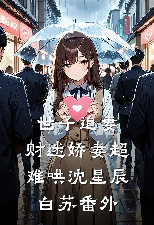 世子追妻：财迷娇妻超难哄沈星辰白苏 番外
