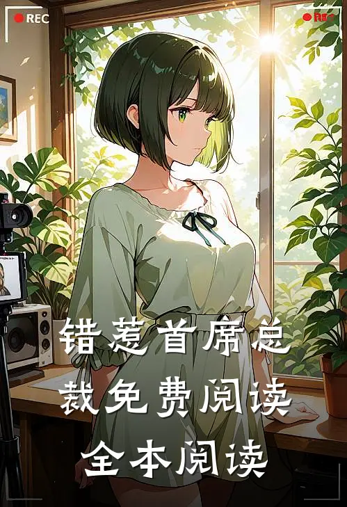 错惹首席总裁免费阅读全本阅读