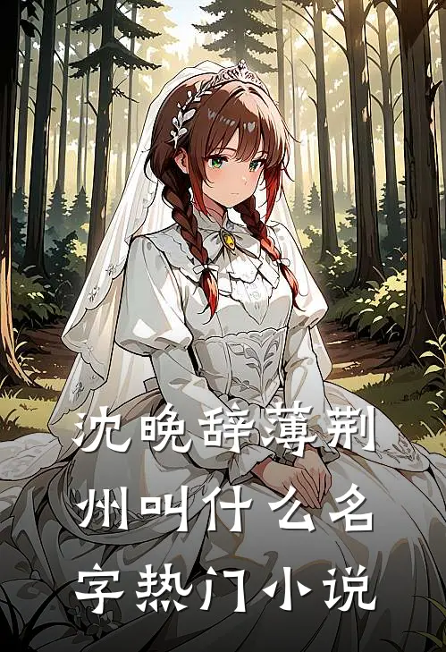 沈晚辞薄荆州叫什么名字热门小说