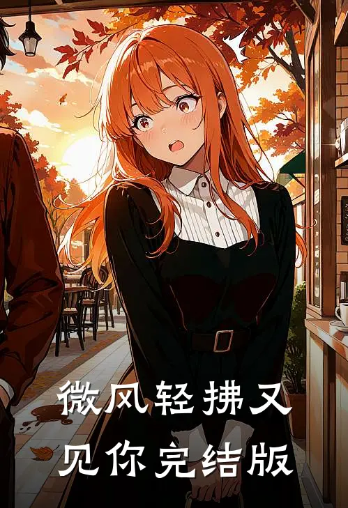 微风轻拂又见你完结版