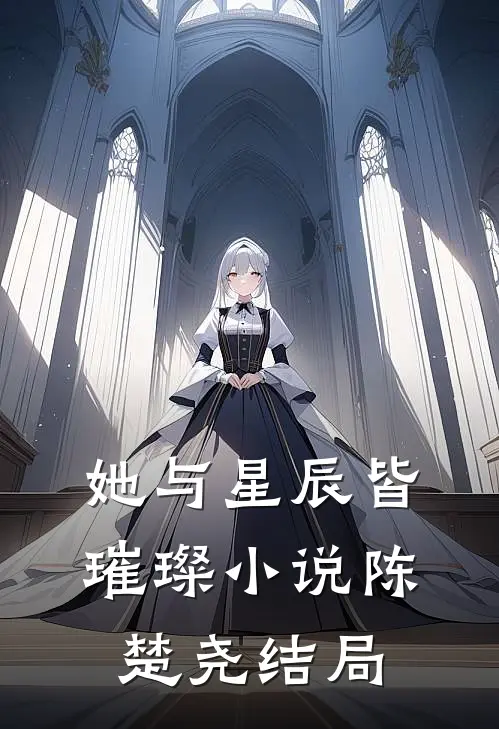 她与星辰皆璀璨小说陈楚尧结局