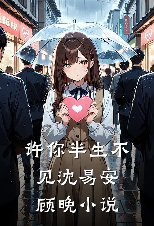 许你半生不见沈易安顾晚小说