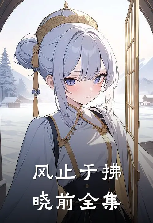 风止于拂晓前全集
