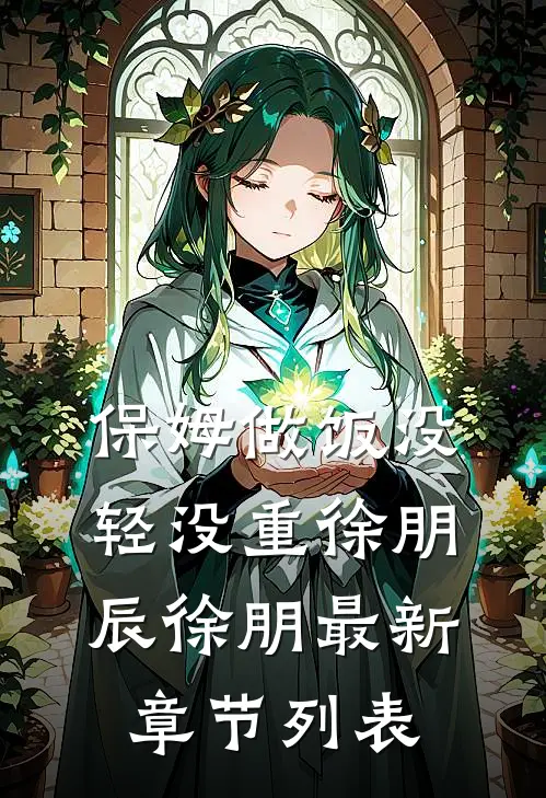 保姆做饭没轻没重徐朋辰徐朋最新章节列表